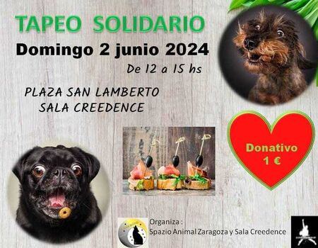 Imagen del evento