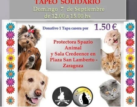 Imagen del evento