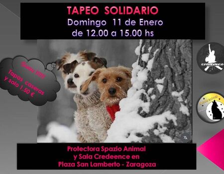 Imagen del evento