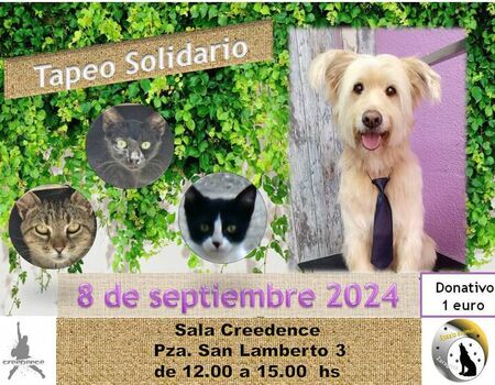 Imagen del evento