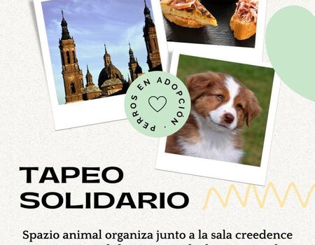 Imagen del evento
