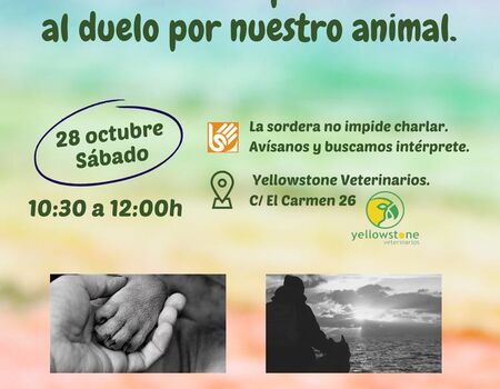 Imagen del evento