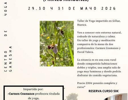 Imagen del evento
