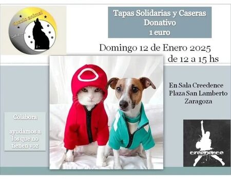Imagen del evento