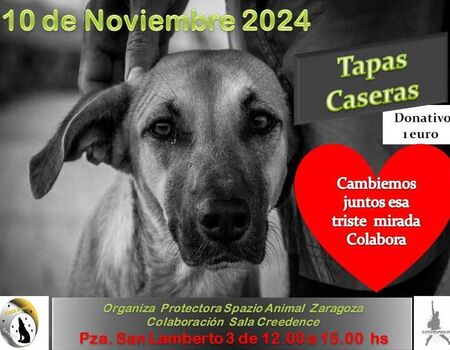 Imagen del evento