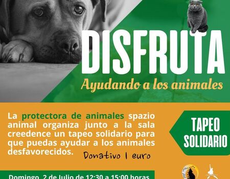 Imagen del evento