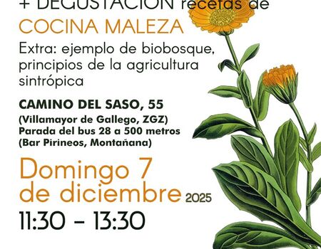 Imagen del evento