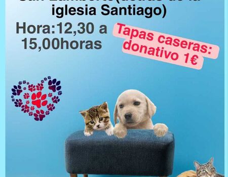 Imagen del evento