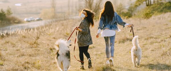 Sitios para ir con perros en Zaragoza