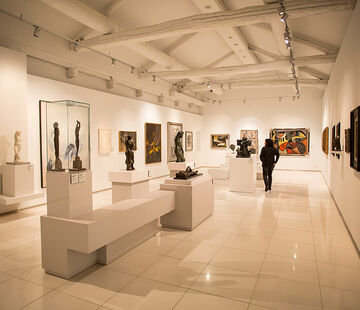 Museo Goya