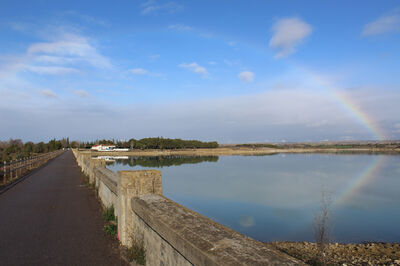 Pantano de San Bartolomé