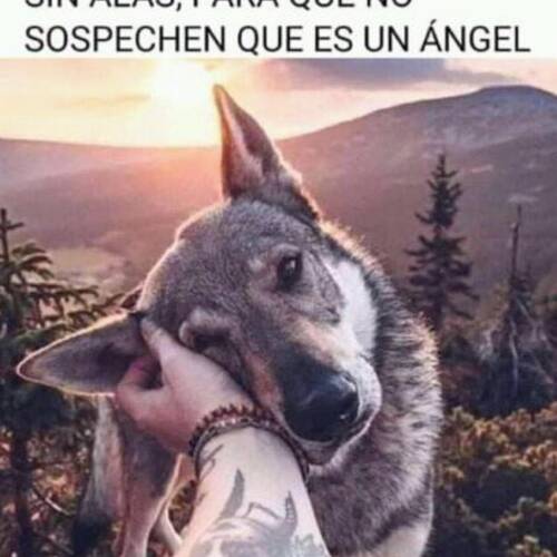 Foto extra 6