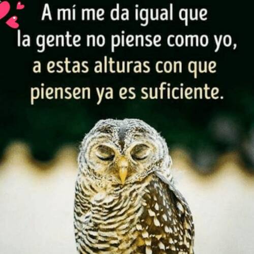 Foto extra 3
