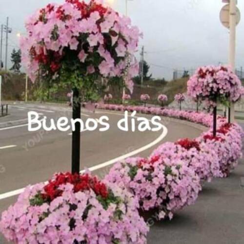 Foto extra 1