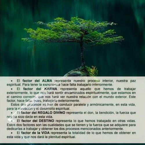 Foto extra 1