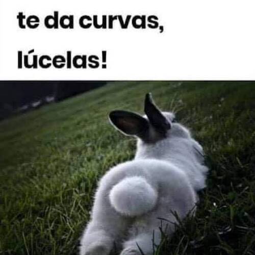 Foto extra 6