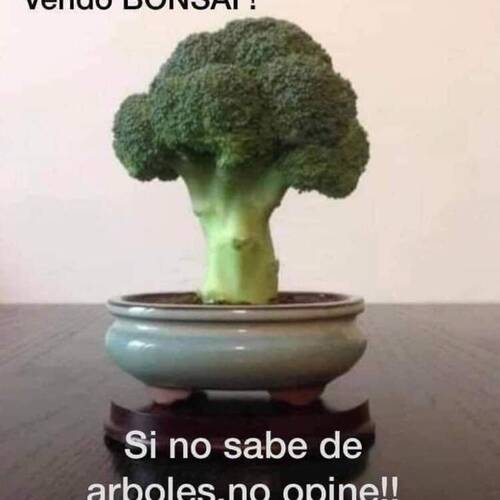 Foto extra 7