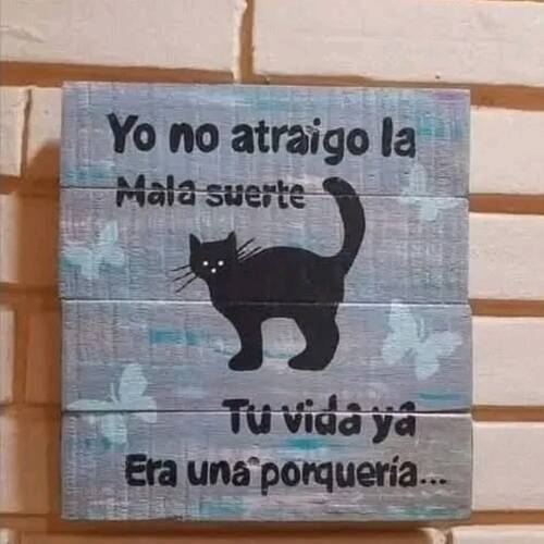 Foto extra 8