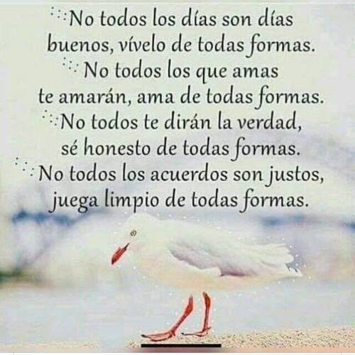 Foto extra 8