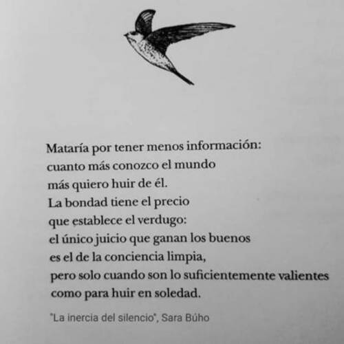 Foto extra 2