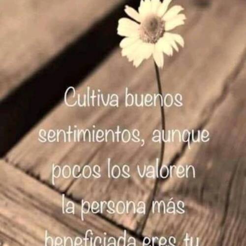 Foto extra 1