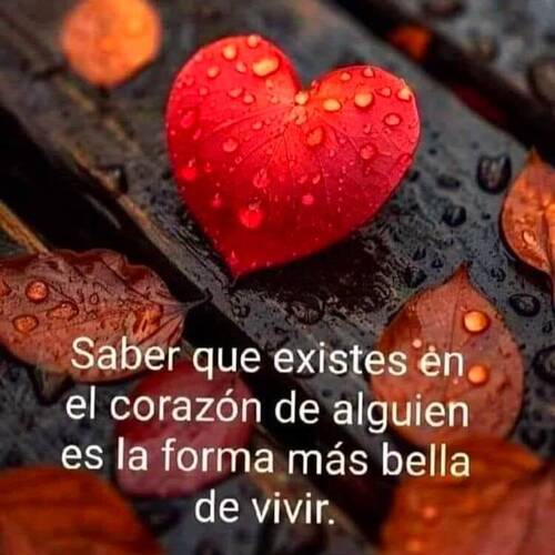 Foto extra 1