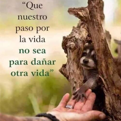 Foto extra 5