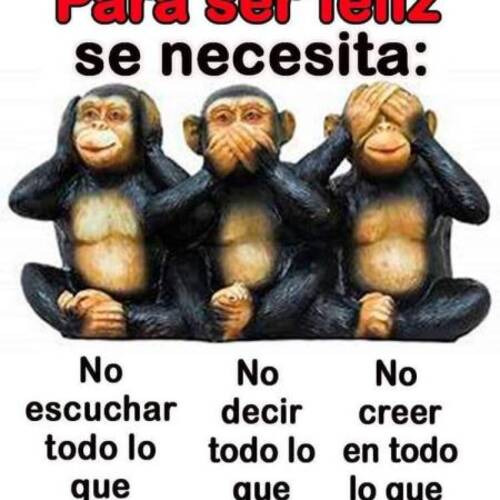 Foto extra 3
