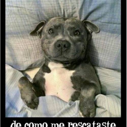 Foto extra 1