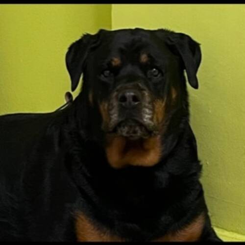 Foto extra 2
