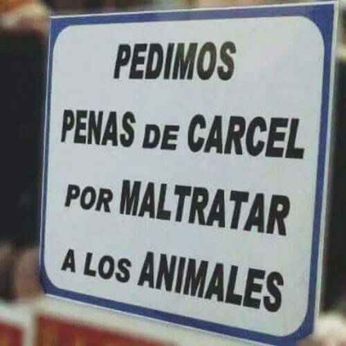 Foto extra 1
