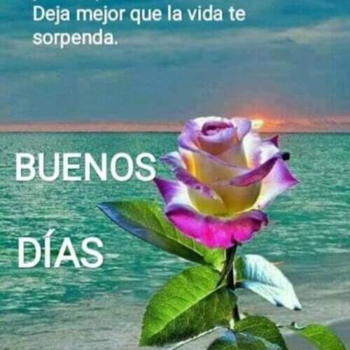 Foto extra 1
