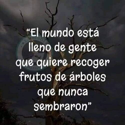 Foto extra 1
