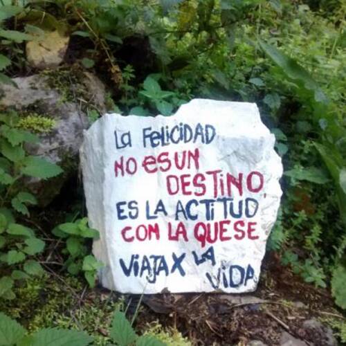 Foto extra 1