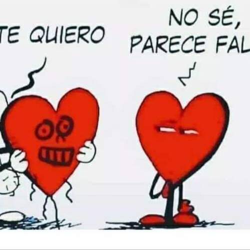 Foto extra 1