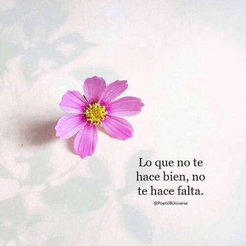 Foto extra 3