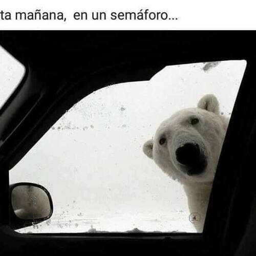 Foto extra 1