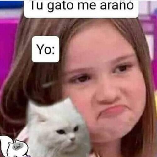 Foto extra 1