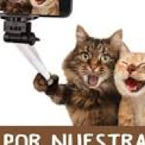 Foto extra 1