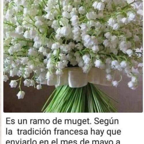 Foto extra 3