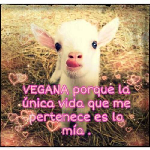 Foto extra 1