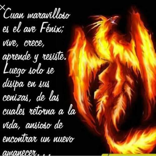 Foto extra 1