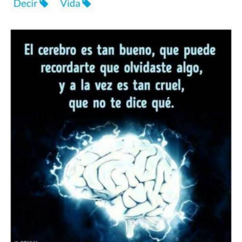 Foto extra 1