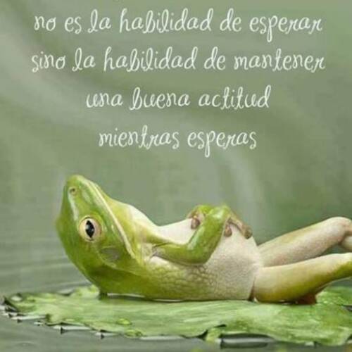 Foto extra 1