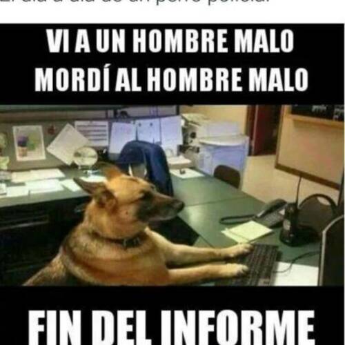 Foto extra 4