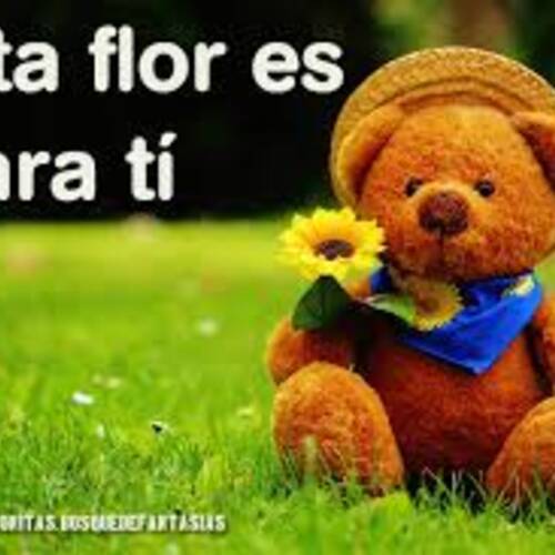 Foto extra 7