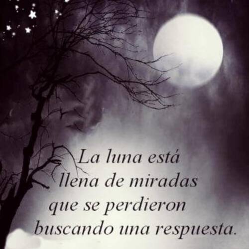 Foto extra 1