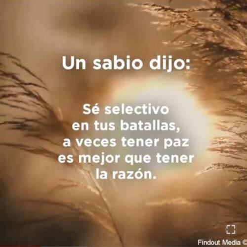 Foto extra 10