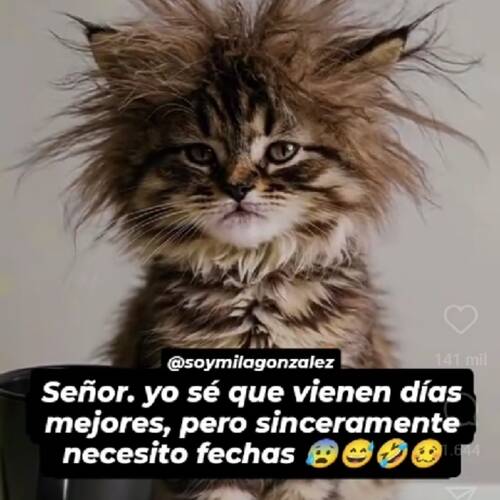 Foto extra 3