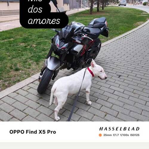 Foto extra 3